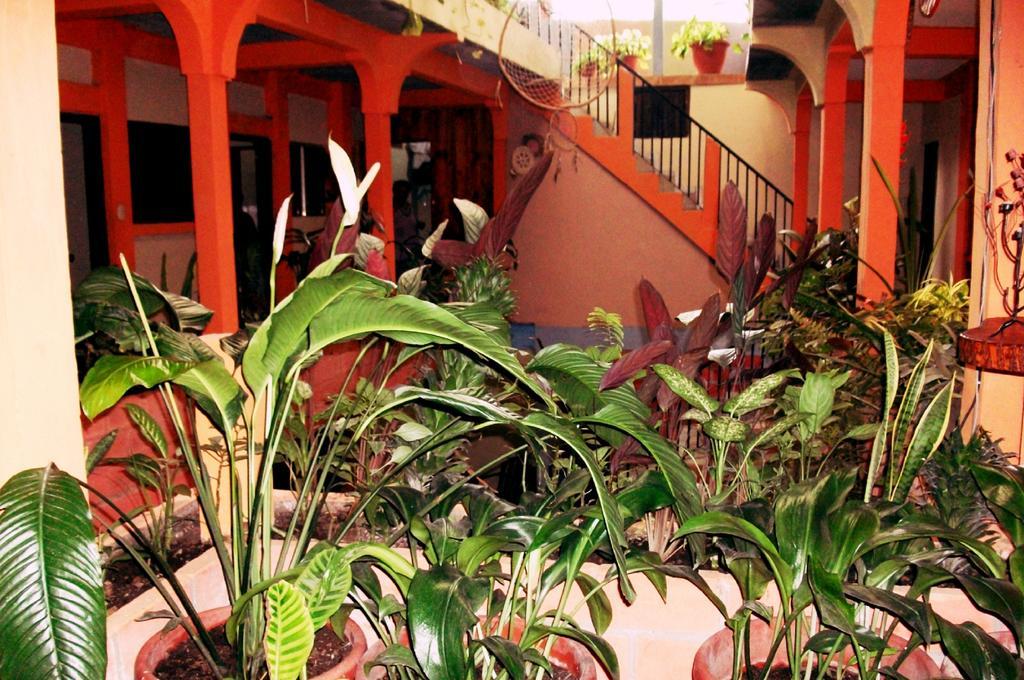 Hotel & Hostal Yaxkin Copán الغرفة الصورة