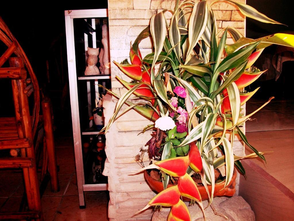Hotel & Hostal Yaxkin Copán المظهر الخارجي الصورة