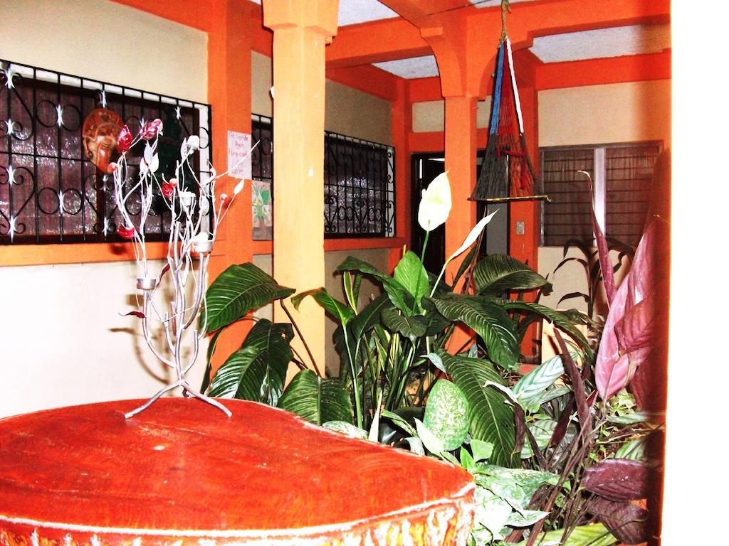 Hotel & Hostal Yaxkin Copán المظهر الخارجي الصورة